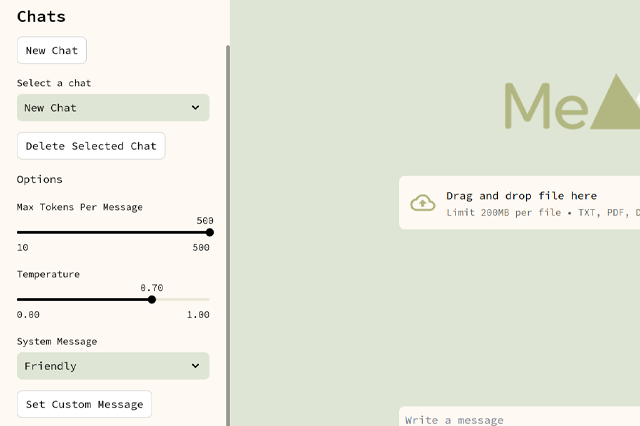 Memora Chatbot Showcase 2